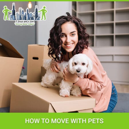 How To Move With Pets