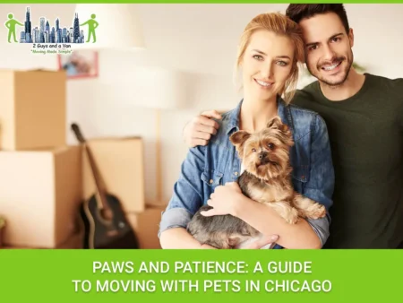 Pet-Friendly Moves