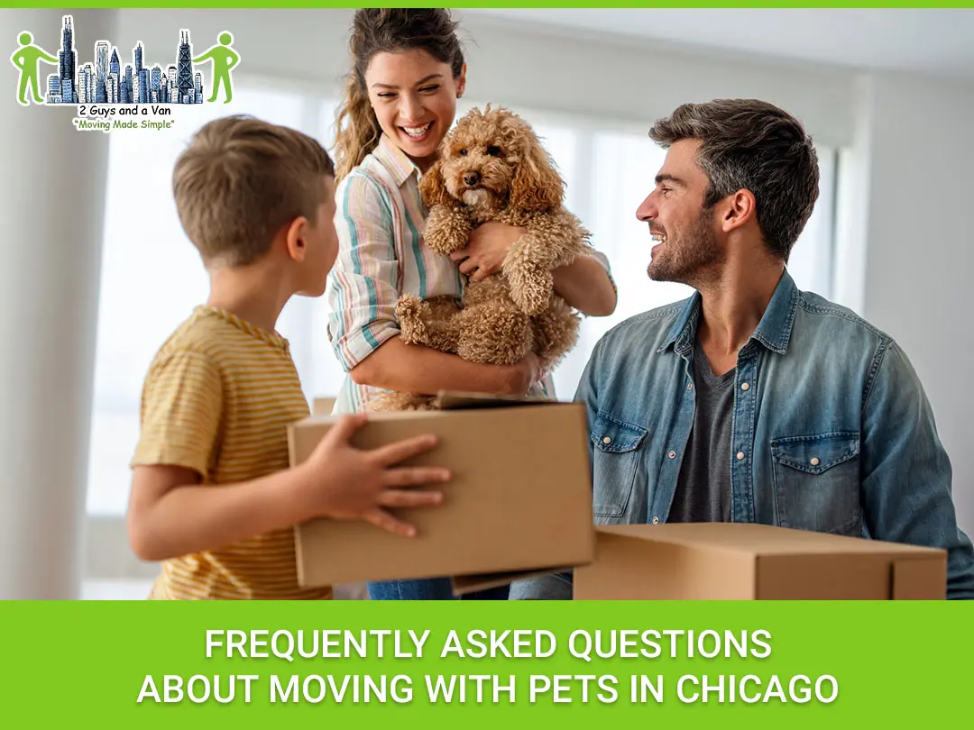 Frequently Asked Questions About Moving with Pets in Chicago